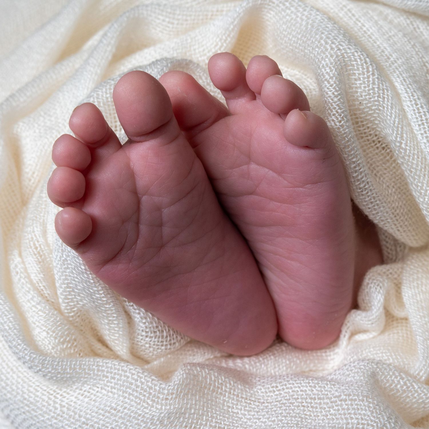 Newborn photos, studio photography Gilgandra Central West NSW, The Mellor Perspective
