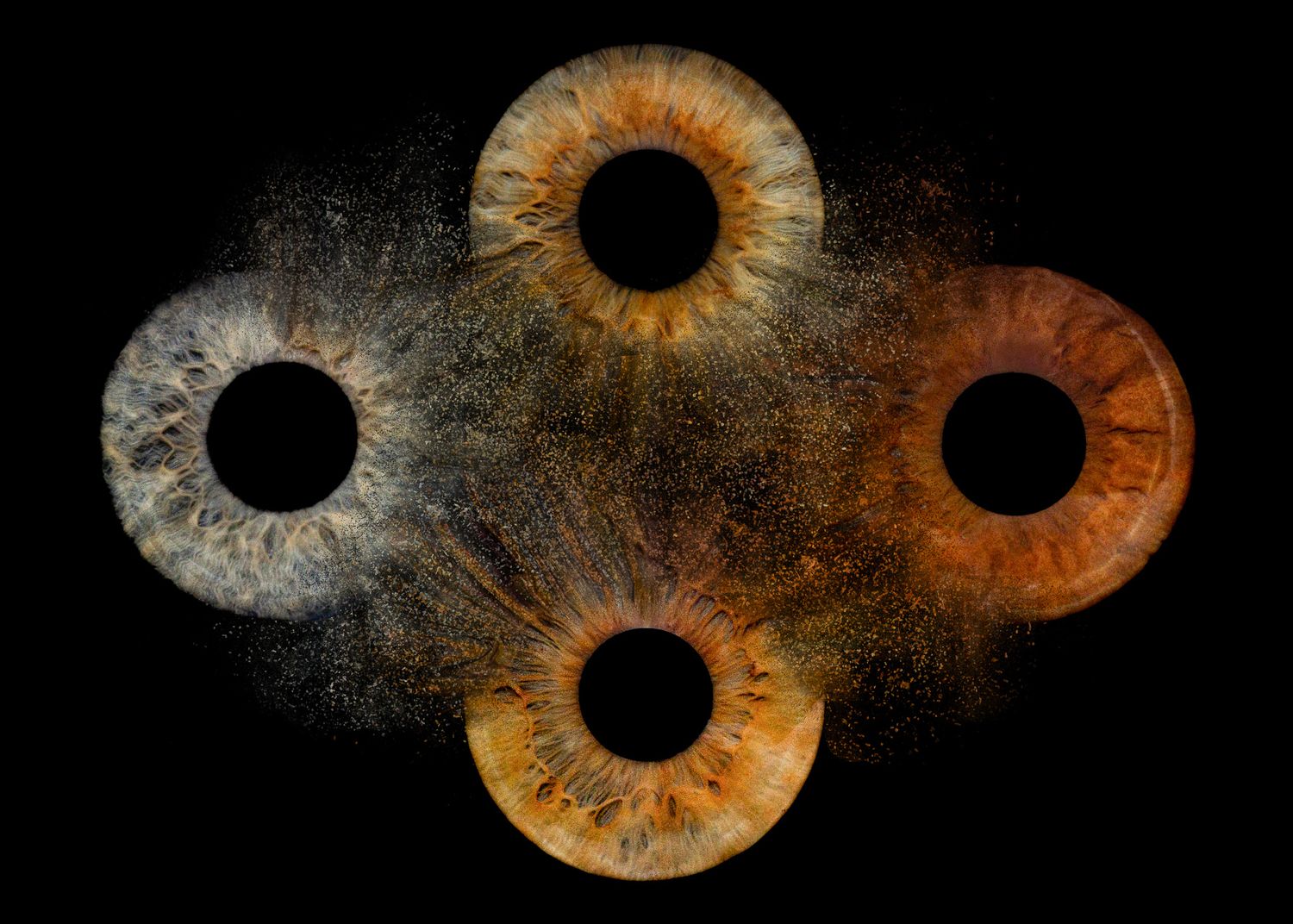Four human irises arranged in a cross pattern, showcasing varied colors from gray to amber on black background.