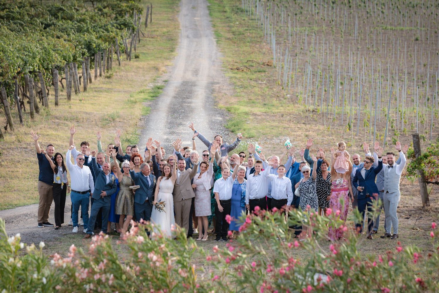 A large group of people celebrating in a vineyard with rows of grapevines and pink flowers in the foreground.
