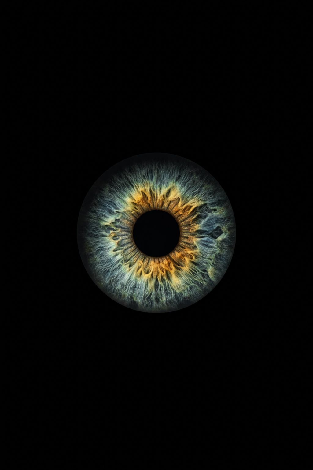 Macro photography sequence shows a human iris contracting from dilated to constricted state against black background.