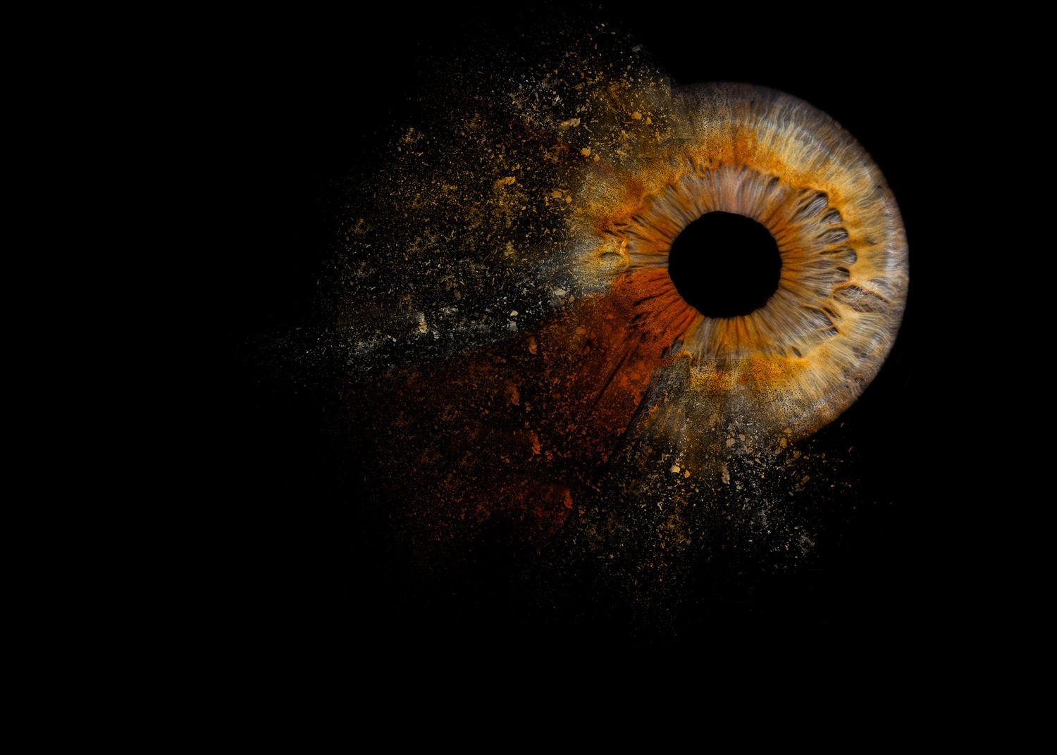 A series of six dark artistic photographs showing a golden brown iris dissolving into particles against a black background.