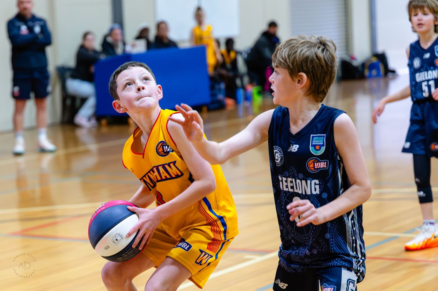 Young boys playing youth basketball, player in yellow uniform drives to basket against Geelong defender indoors.