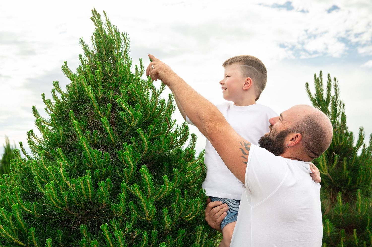 People enjoying a walk through an evergreen tree farm.
