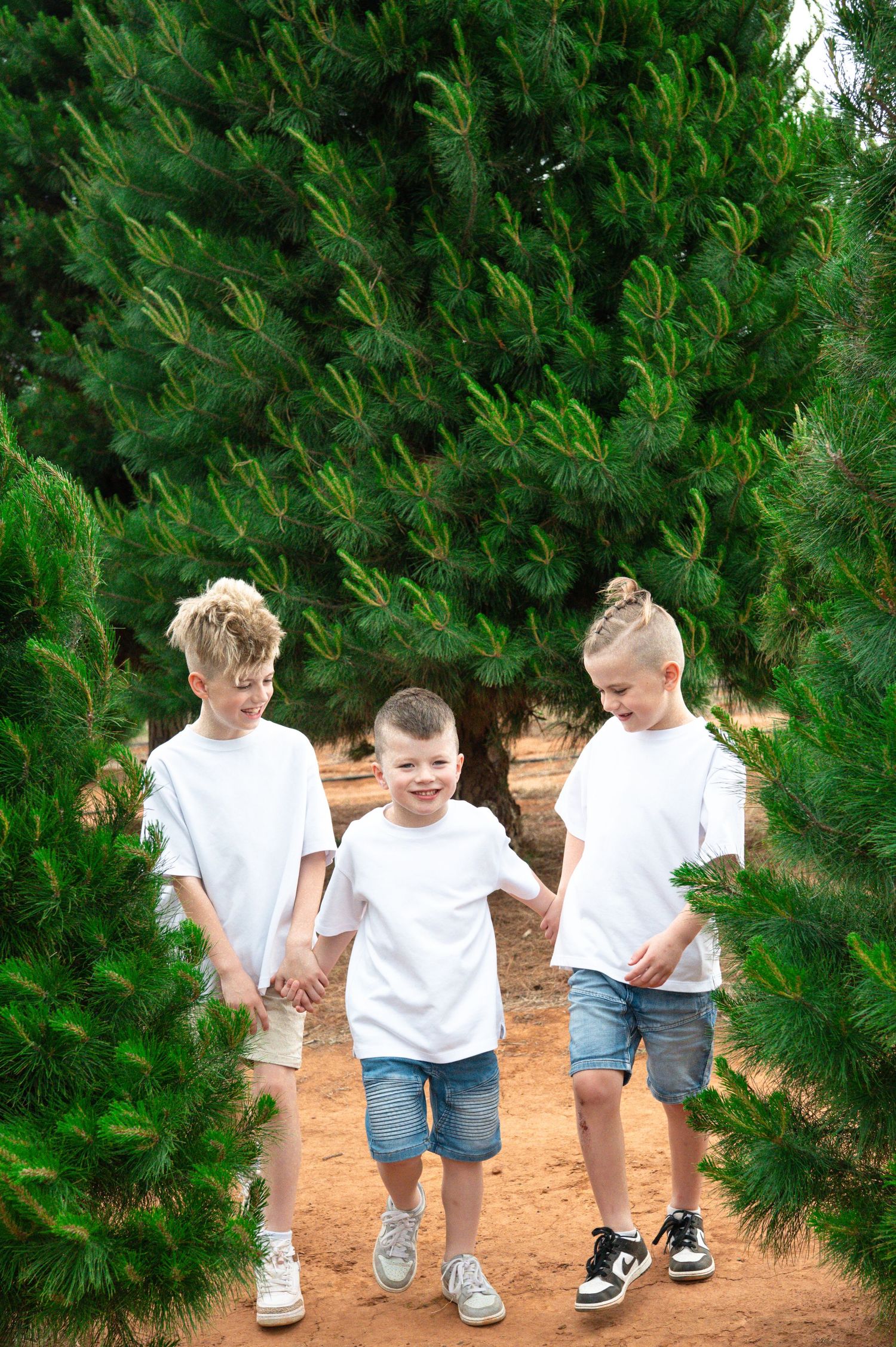 Children walking together on a dirt path between rows of green pine trees.