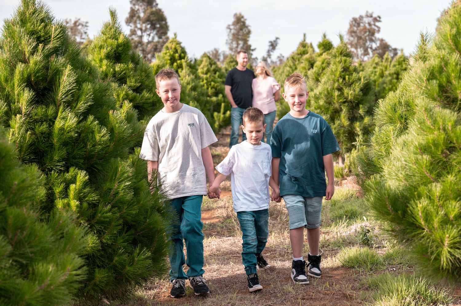 Group walking together on dirt path between rows of young pine trees.