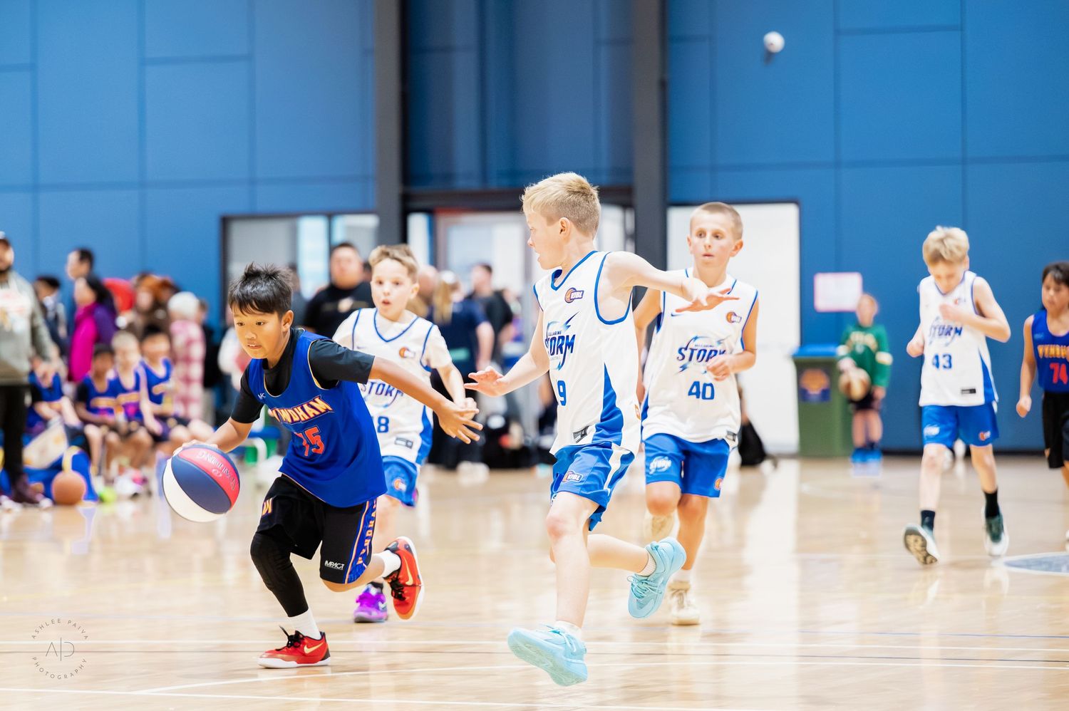Young children playing basketball in a gym, dribbling and competing in blue and white uniforms.