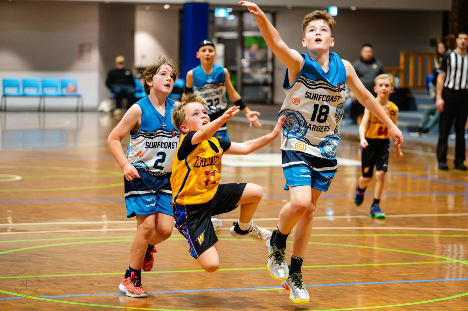 Young boys playing competitive indoor basketball, wearing blue Surfers Paradise uniforms, jumping for the ball during a game.
