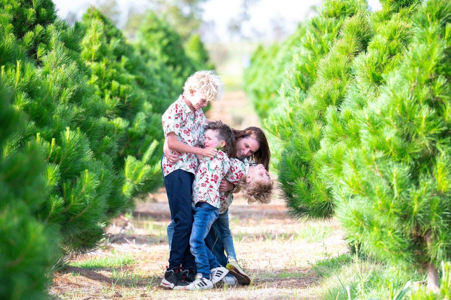 Candid family moments captured between rows of green trees in matching attire.
