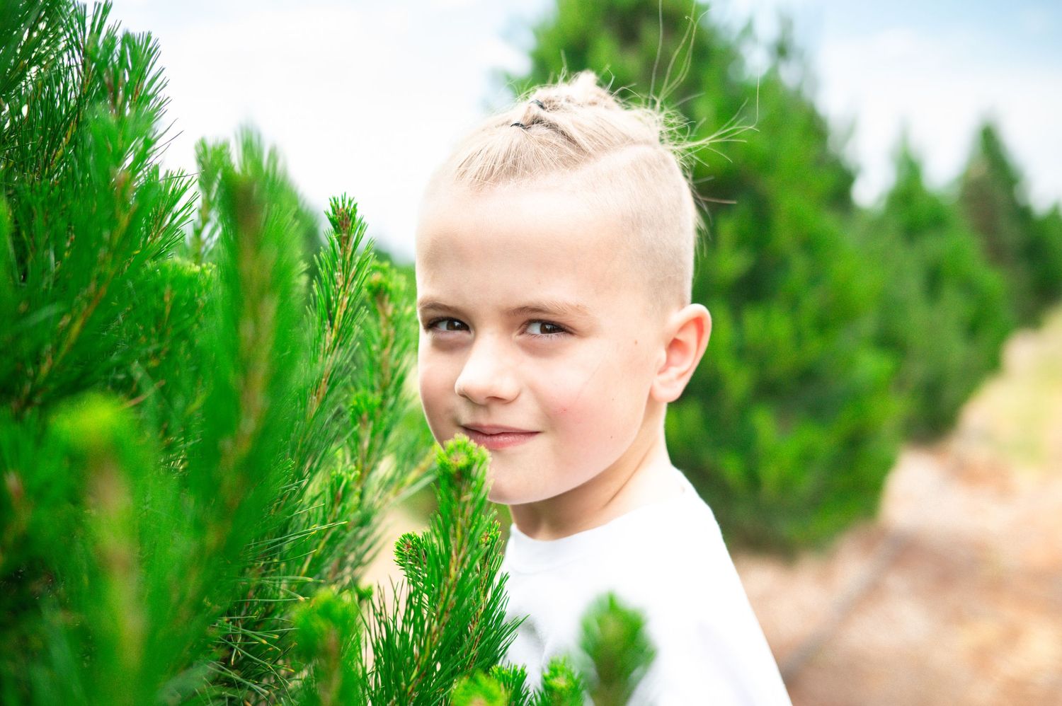 Outdoor family photo session among green pine trees.