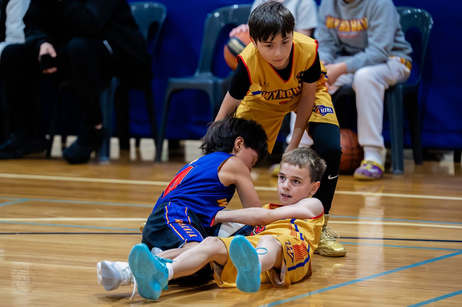 Young kids competing in a junior basketball game, with two players scrambling for the ball on the court floor.