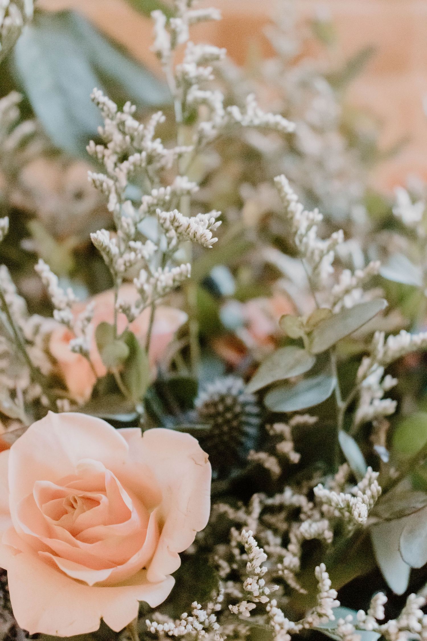 Delicate peach roses with white baby's breath and greenery in soft focus.