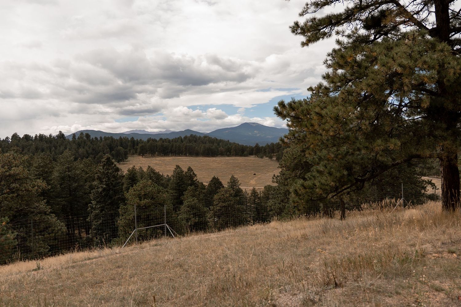 Panoramic mountain landscape with rolling hills and scattered pine trees under cloudy skies.