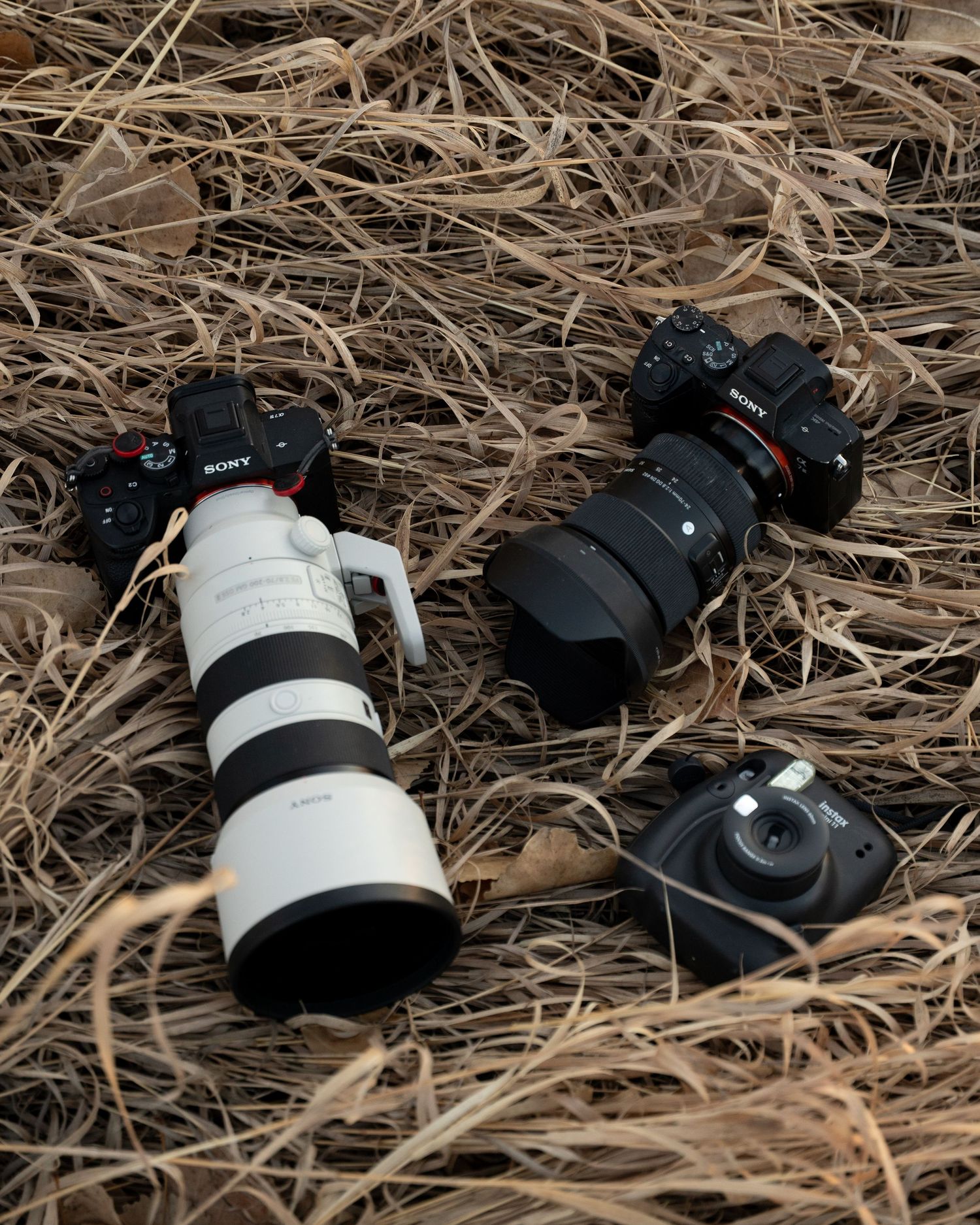 Professional camera equipment including two DSLR cameras with telephoto lenses lying on dried grass.