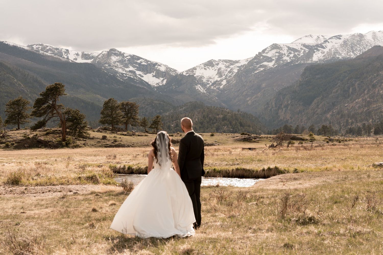 Bride and groom holding hands while gazing at snow-capped mountain views across a golden meadow.