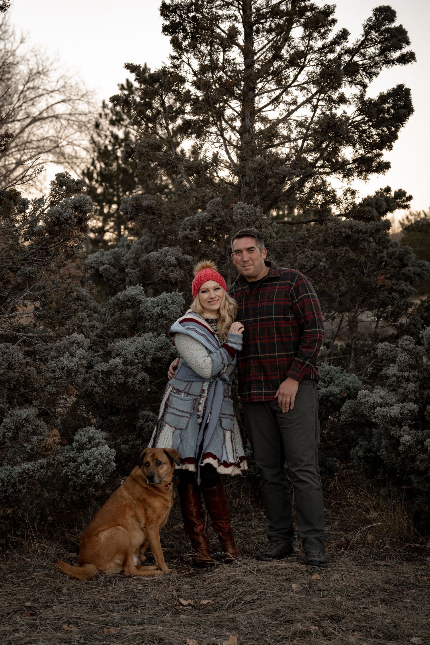A couple and their dog pose together in a pine forest during golden hour.