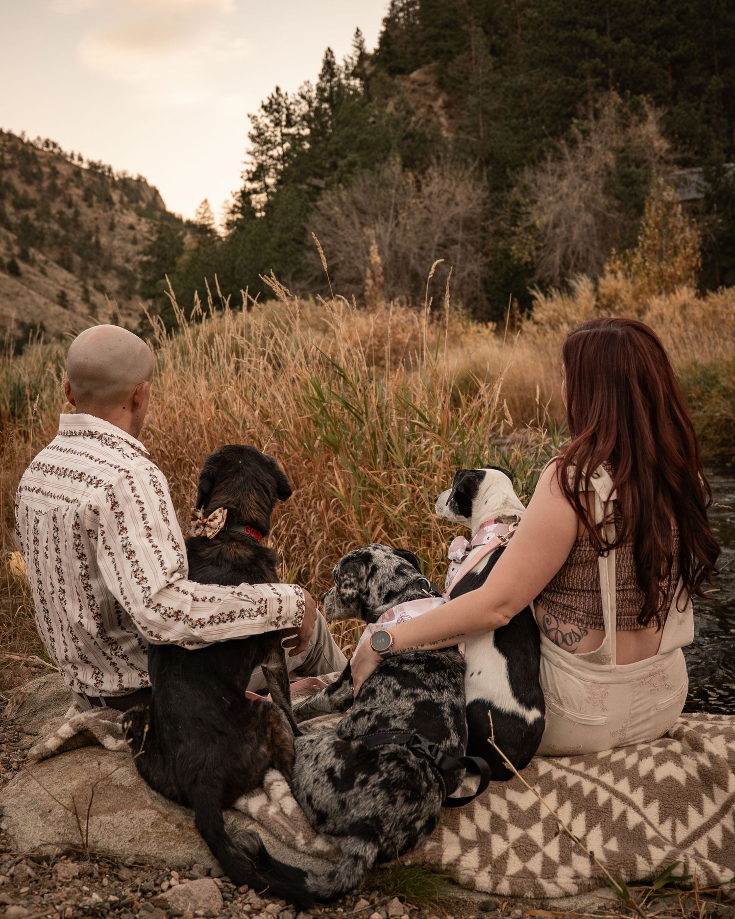 Family portrait with dogs sitting on rocks during sunset in mountain landscape.
