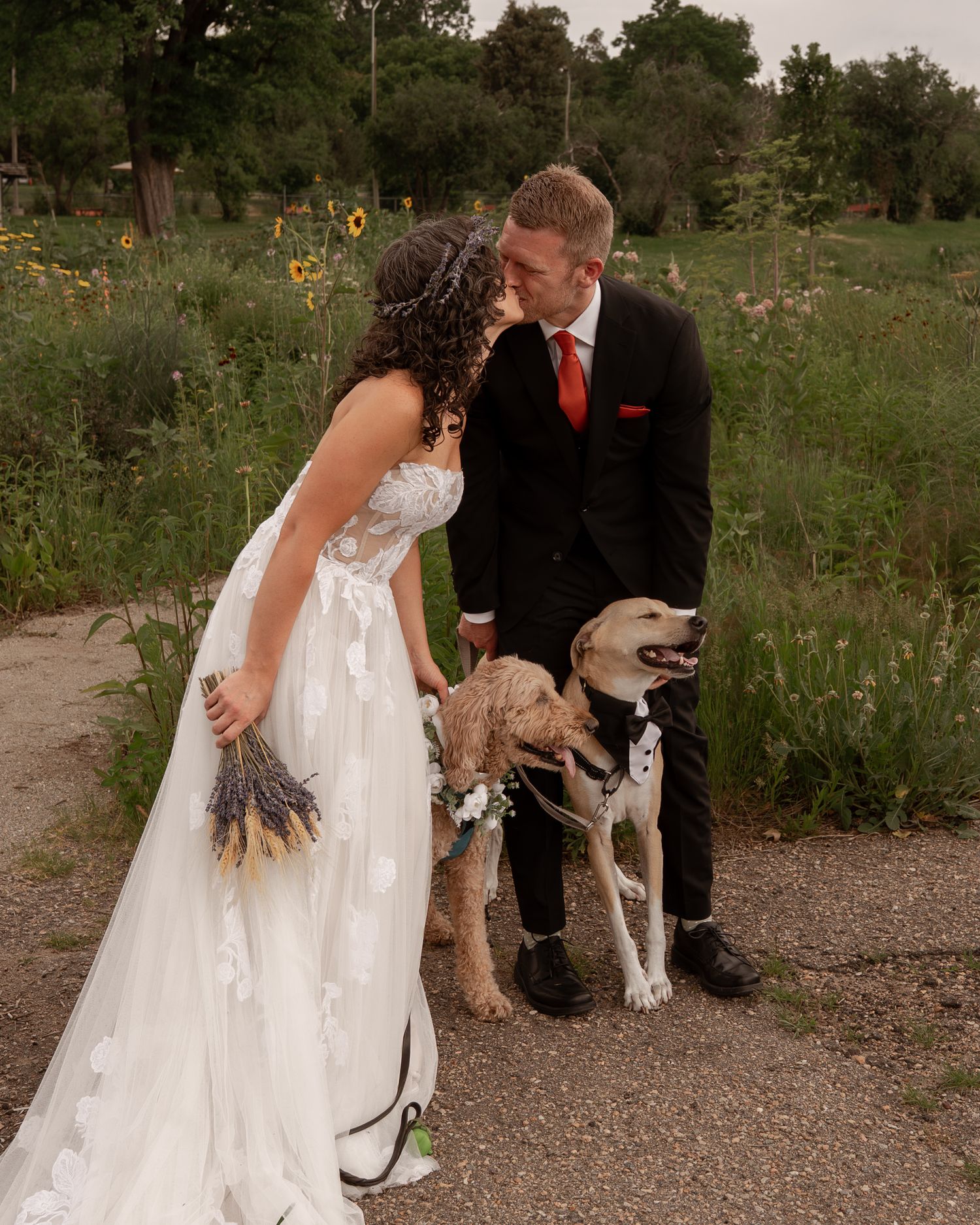 A couple in wedding attire stands with their dog on a dirt path surrounded by wildflowers and greenery.