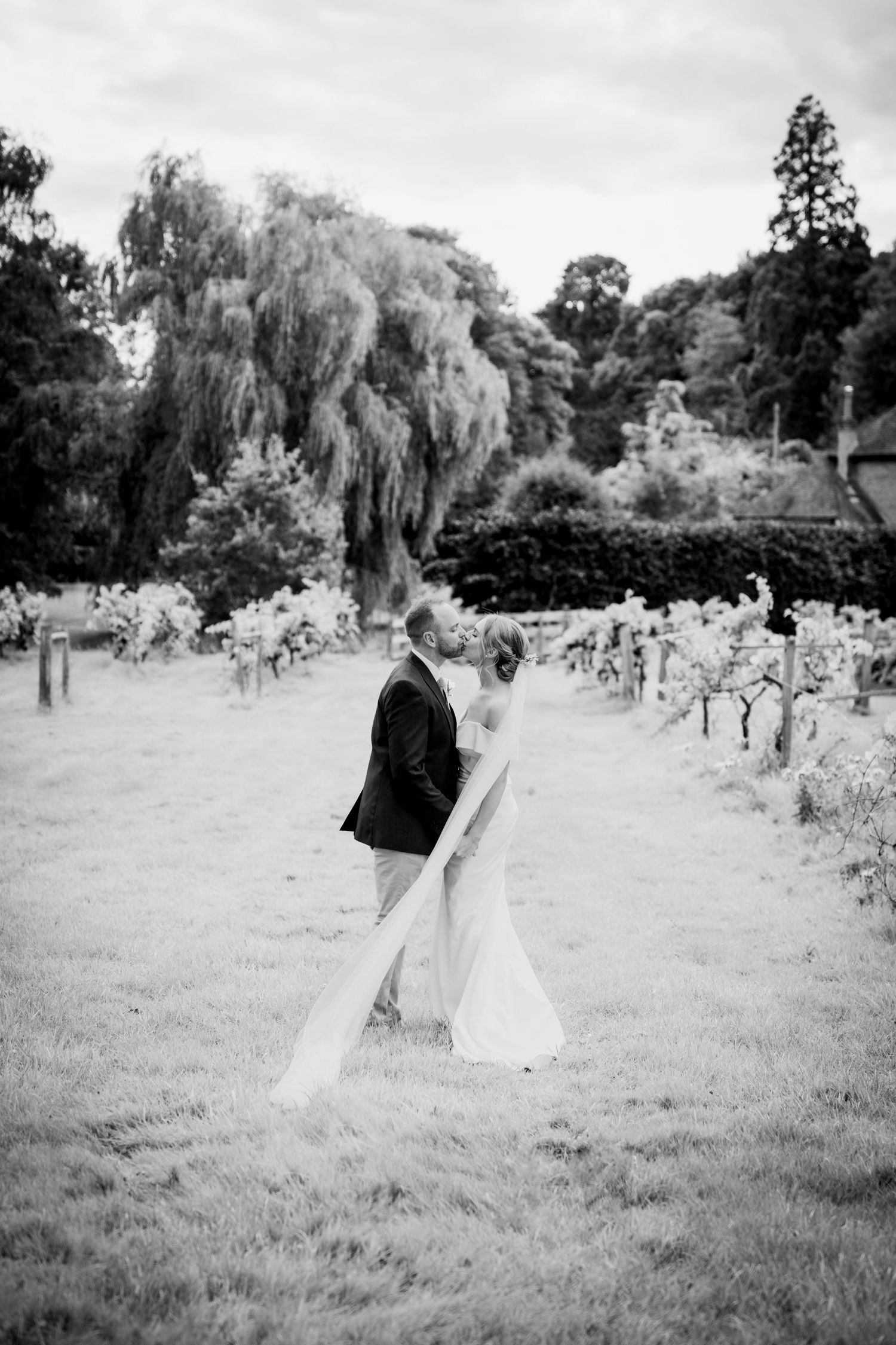An intimate outdoor wedding photograph of a bride and groom laughing together among vineyard rows. black and white image. candid.