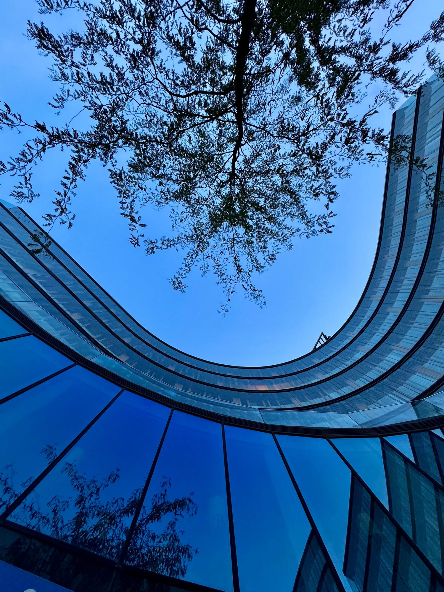 Arcitecture, Vienna, photography,