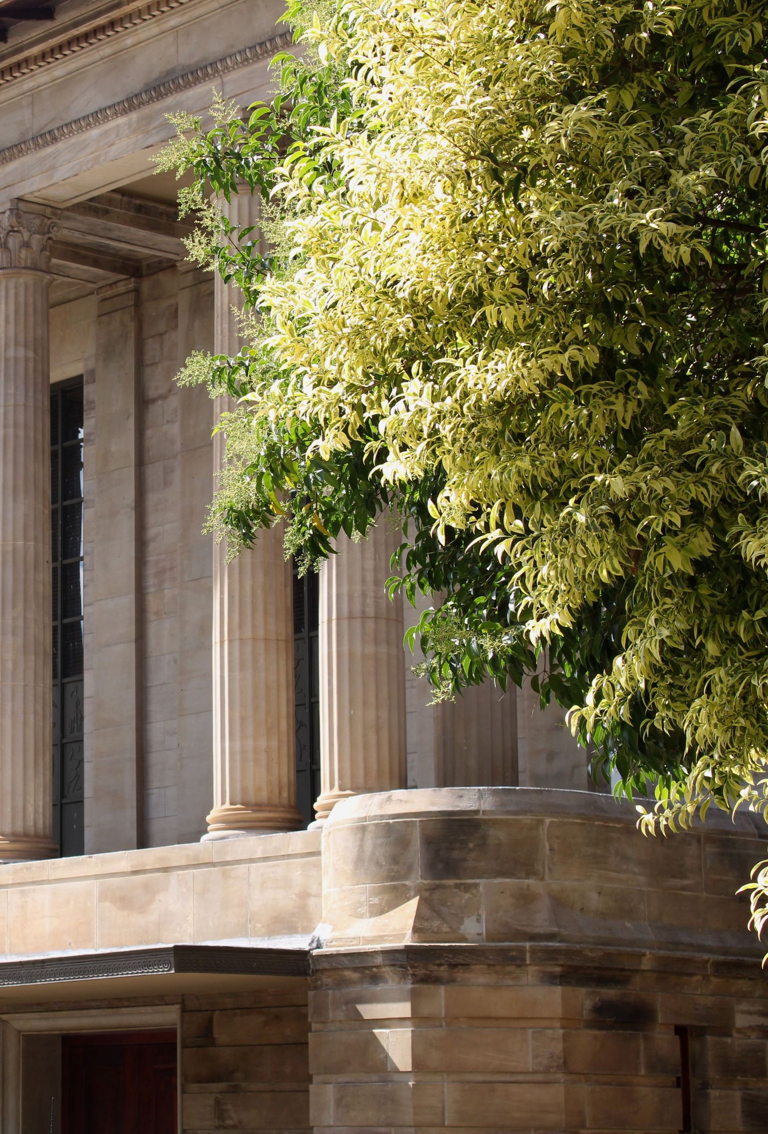 Mangaung City Hall architecture in Bloemfontein