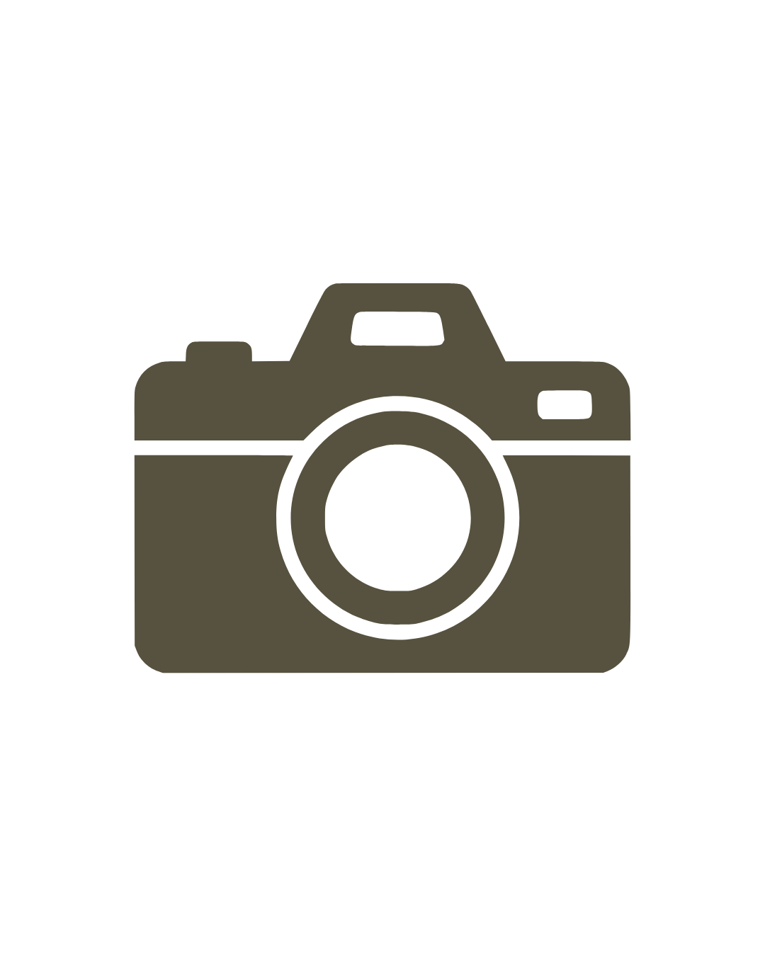 Dark olive-colored camera icon with circular lens and viewfinder detail on white background.