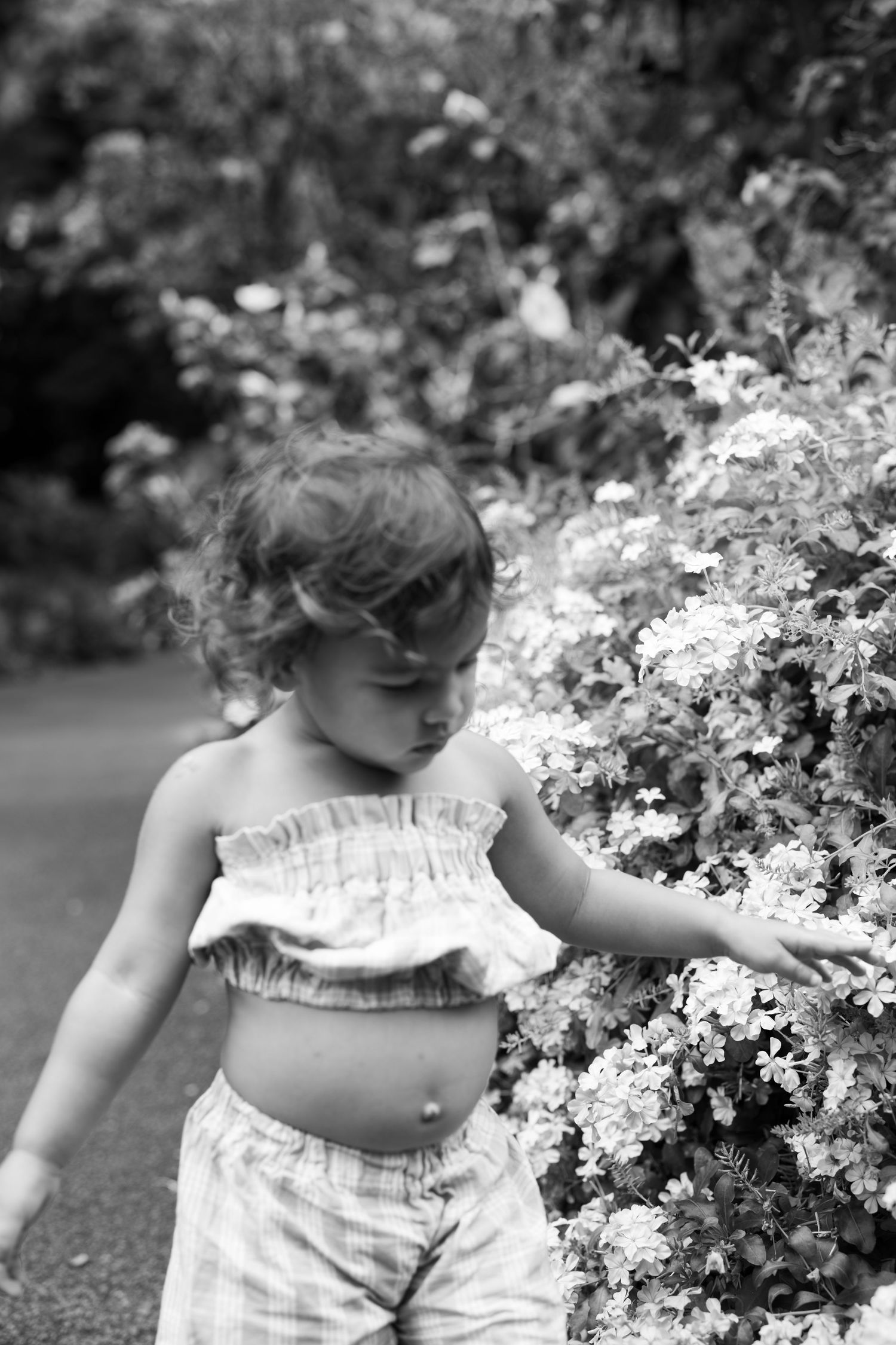 Black and white photo of a toddler girl in a crop top touching flowering bushes in a garden.