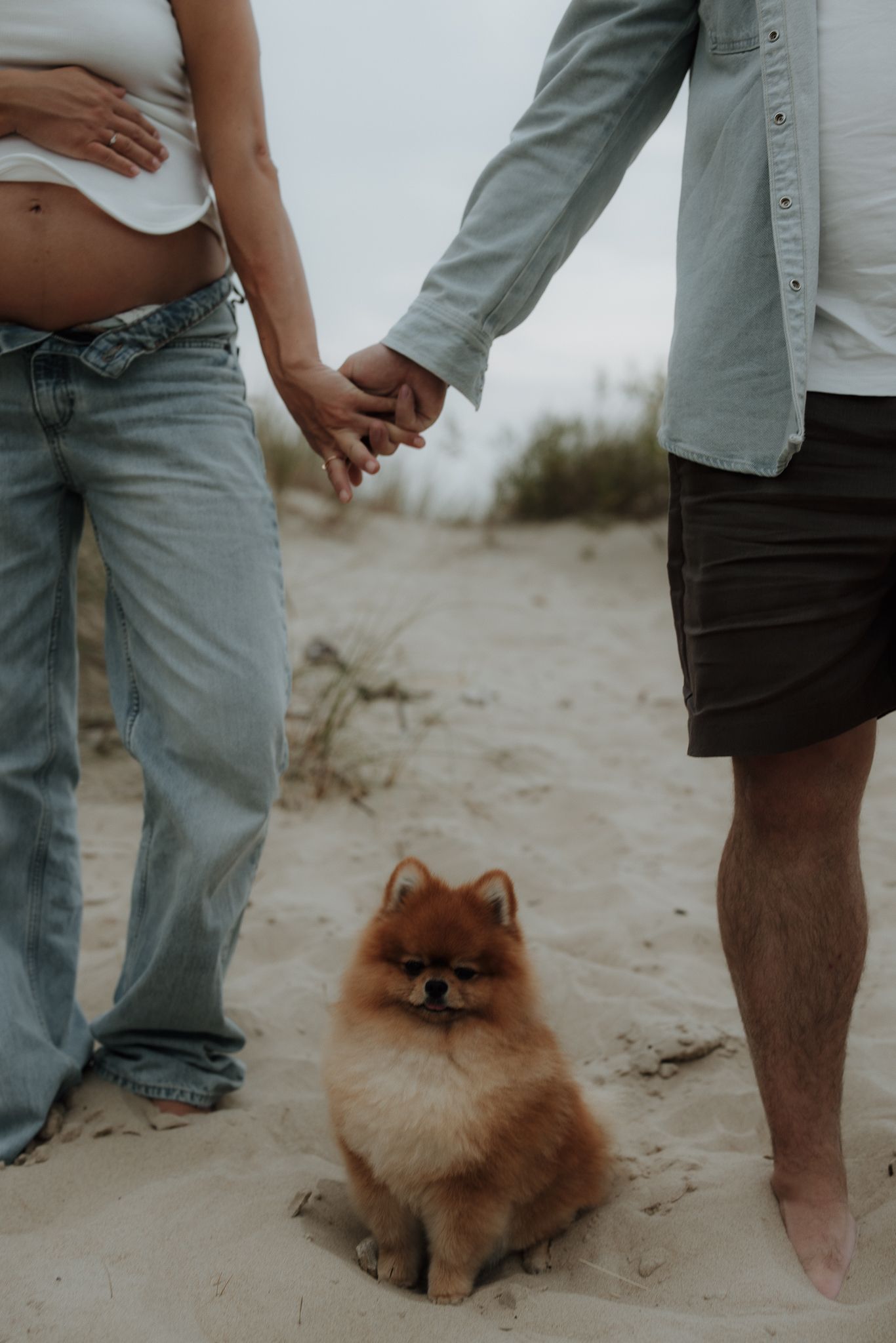 Couple holding hands on sandy beach with small Pomeranian dog sitting between them.