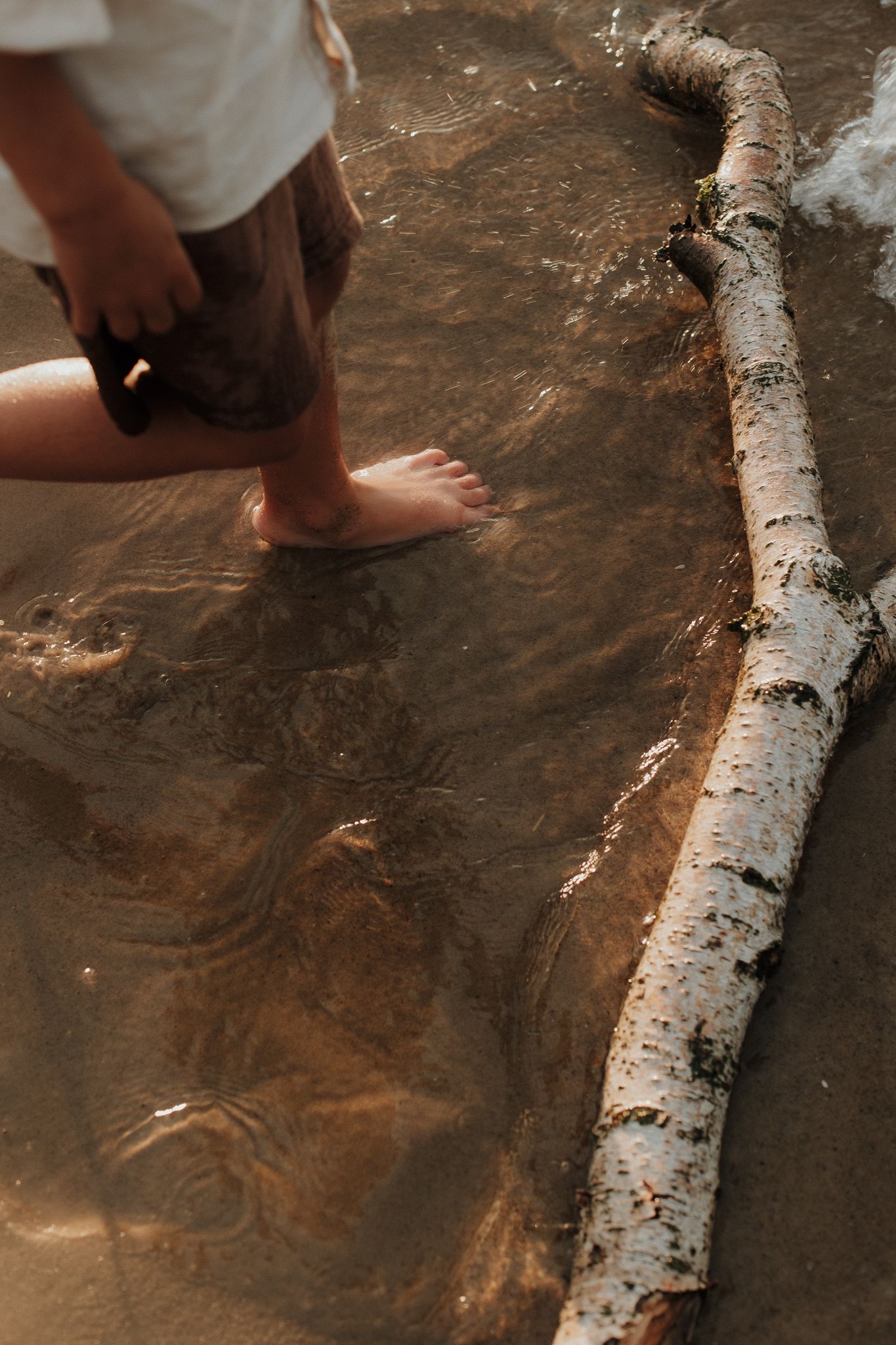Child's bare feet standing in shallow water next to birch log on sandy beach.