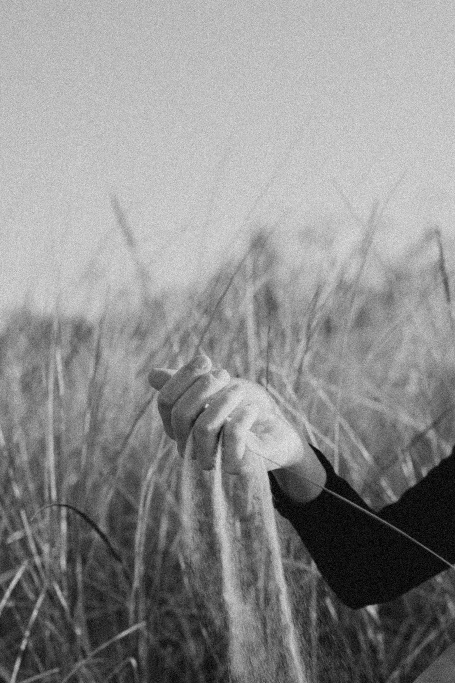 Black and white photo of hands clasping tall grass in a field, evoking a serene, contemplative mood.