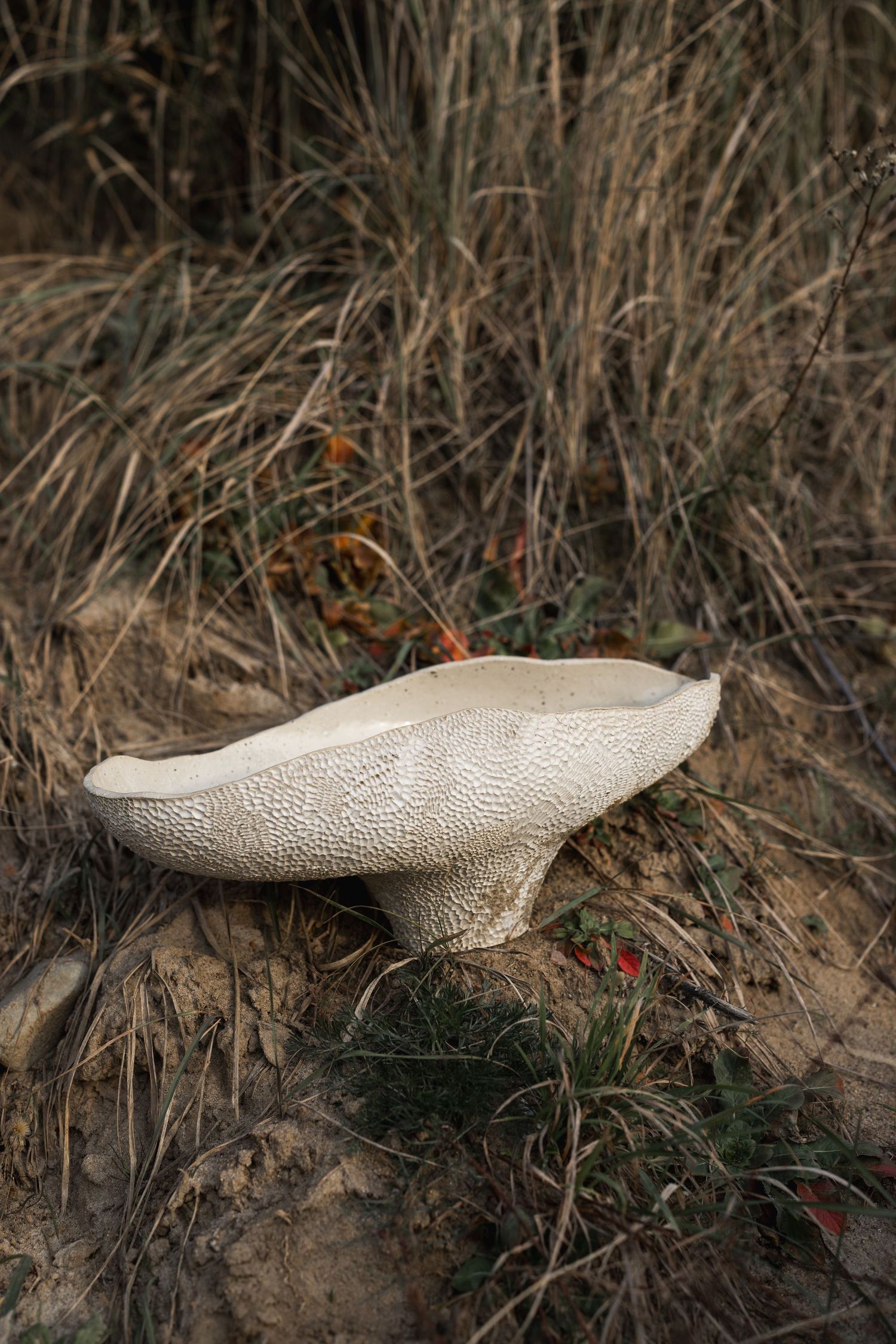 Large white puffball mushroom growing on sandy soil surrounded by dry grass in a natural outdoor setting.