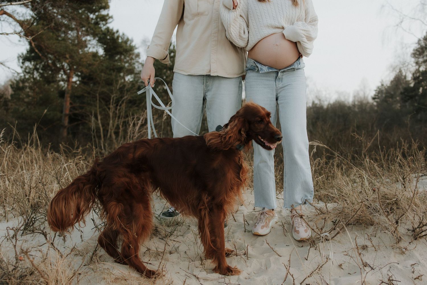 Couple with Irish Setter dog standing in sandy beach dunes, pregnant belly visible.