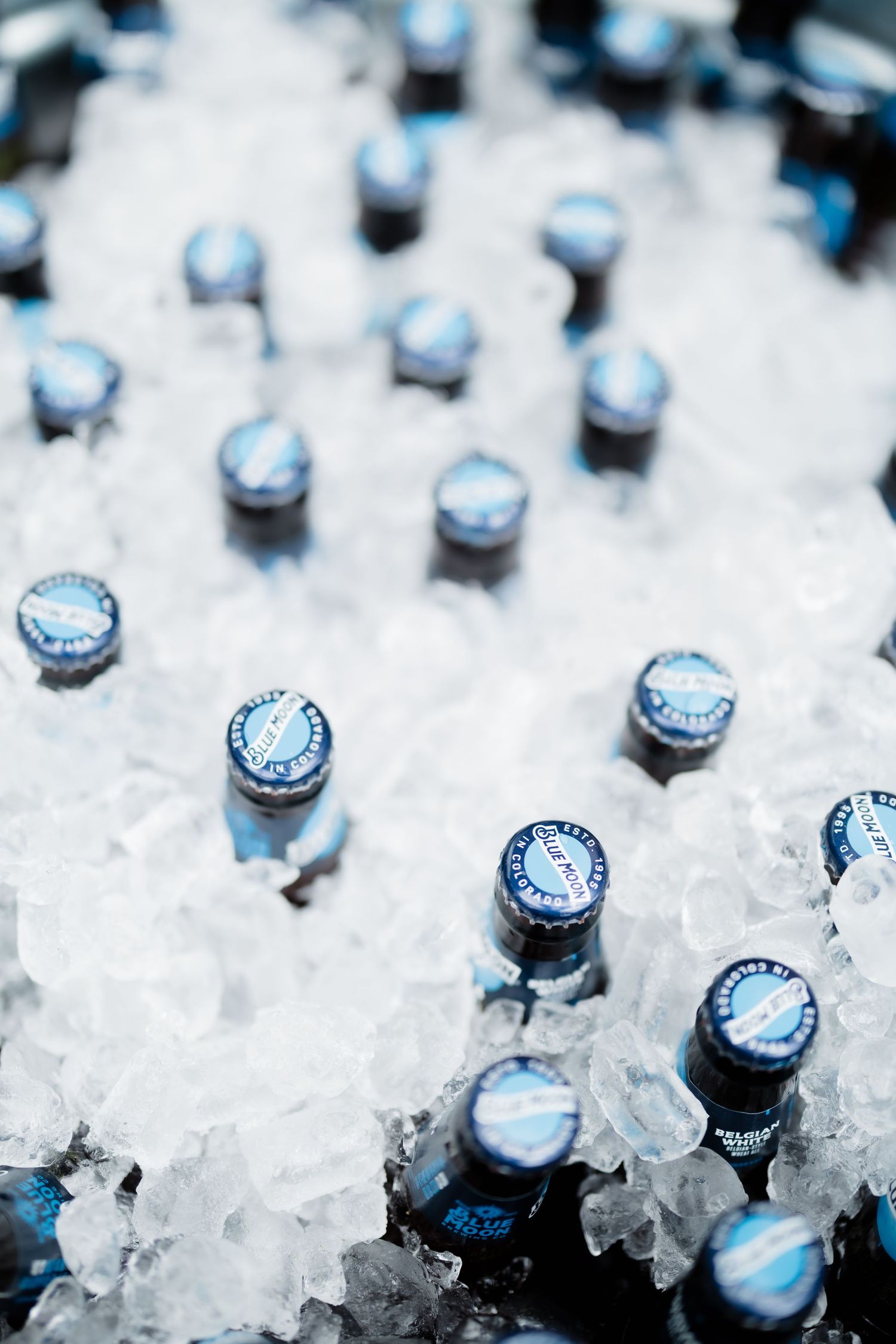 Multiple dark beer bottles with blue caps chilling in a bed of crushed ice at an outdoor event.