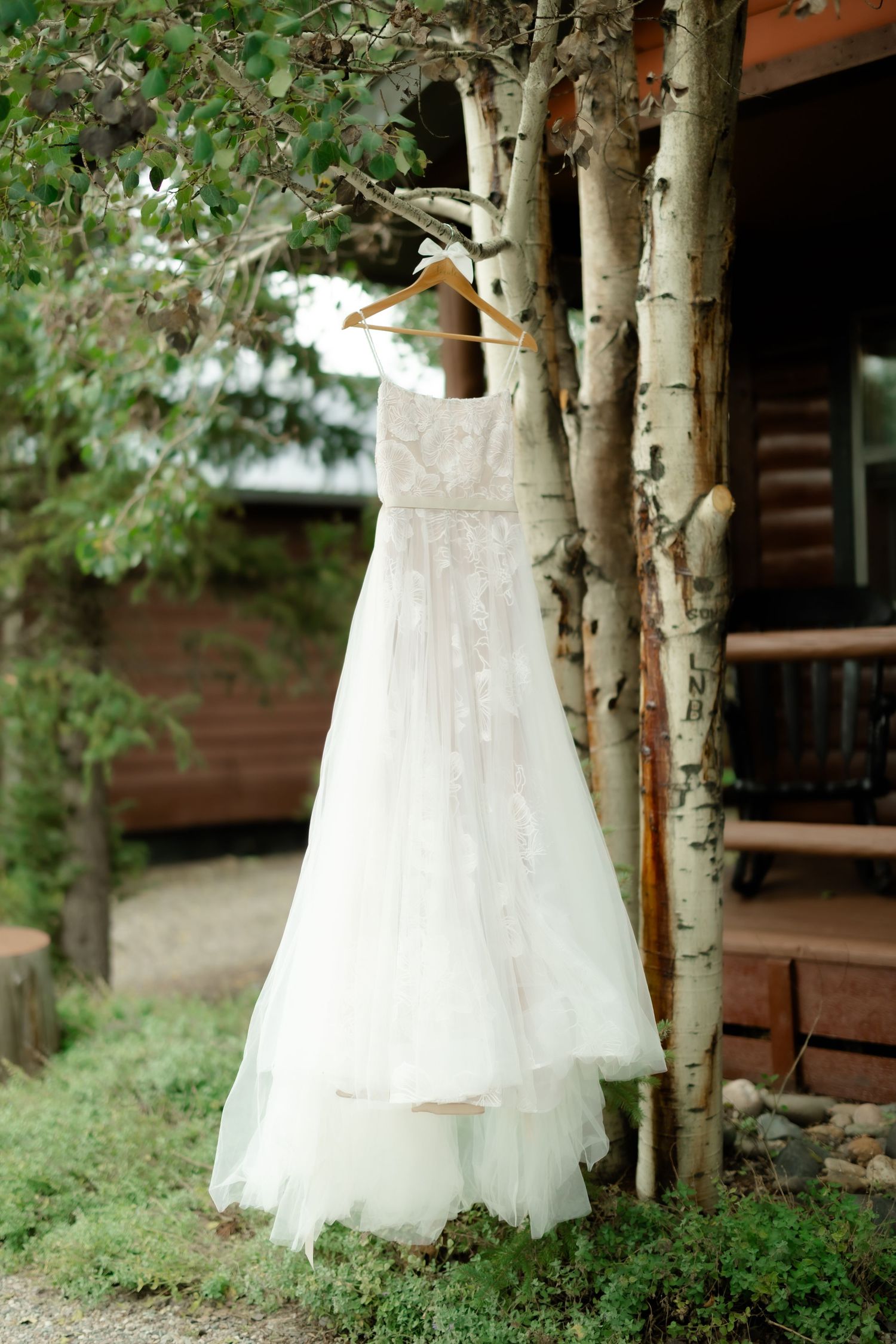 White lace wedding dress hanging on wooden hanger from birch tree outside rustic log cabin.