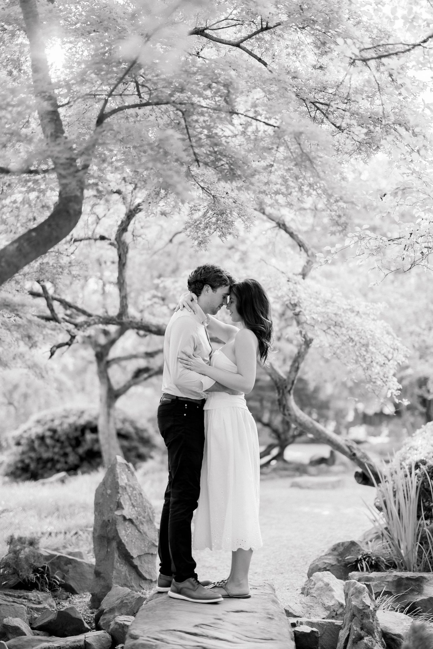 A romantic black and white photo of a couple embracing and kissing on a wooden path under flowering trees.