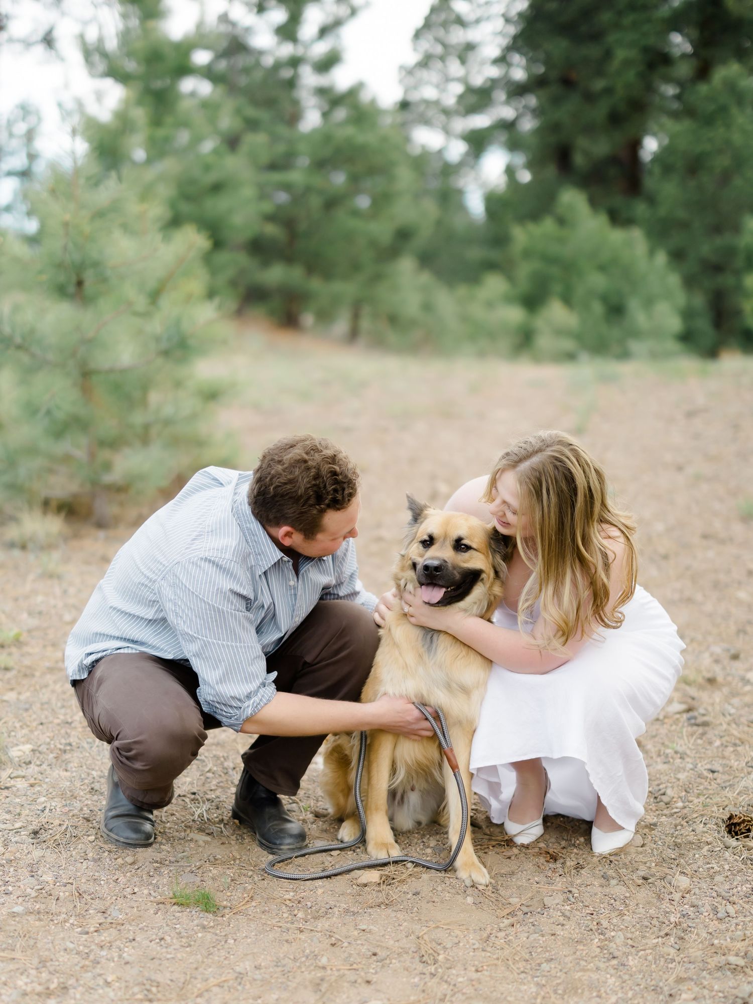 Couple crouching with their tan dog in a pine forest during an outdoor engagement photo session.