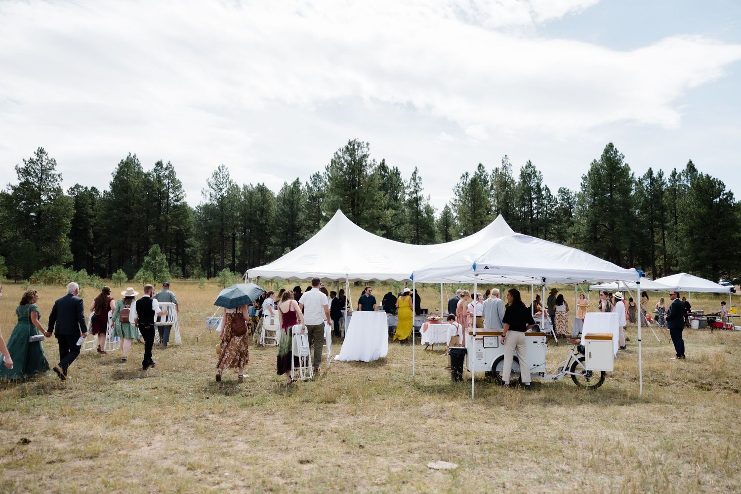 Outdoor wedding reception under white tents in a meadow surrounded by pine trees with guests mingling on a cloudy day.