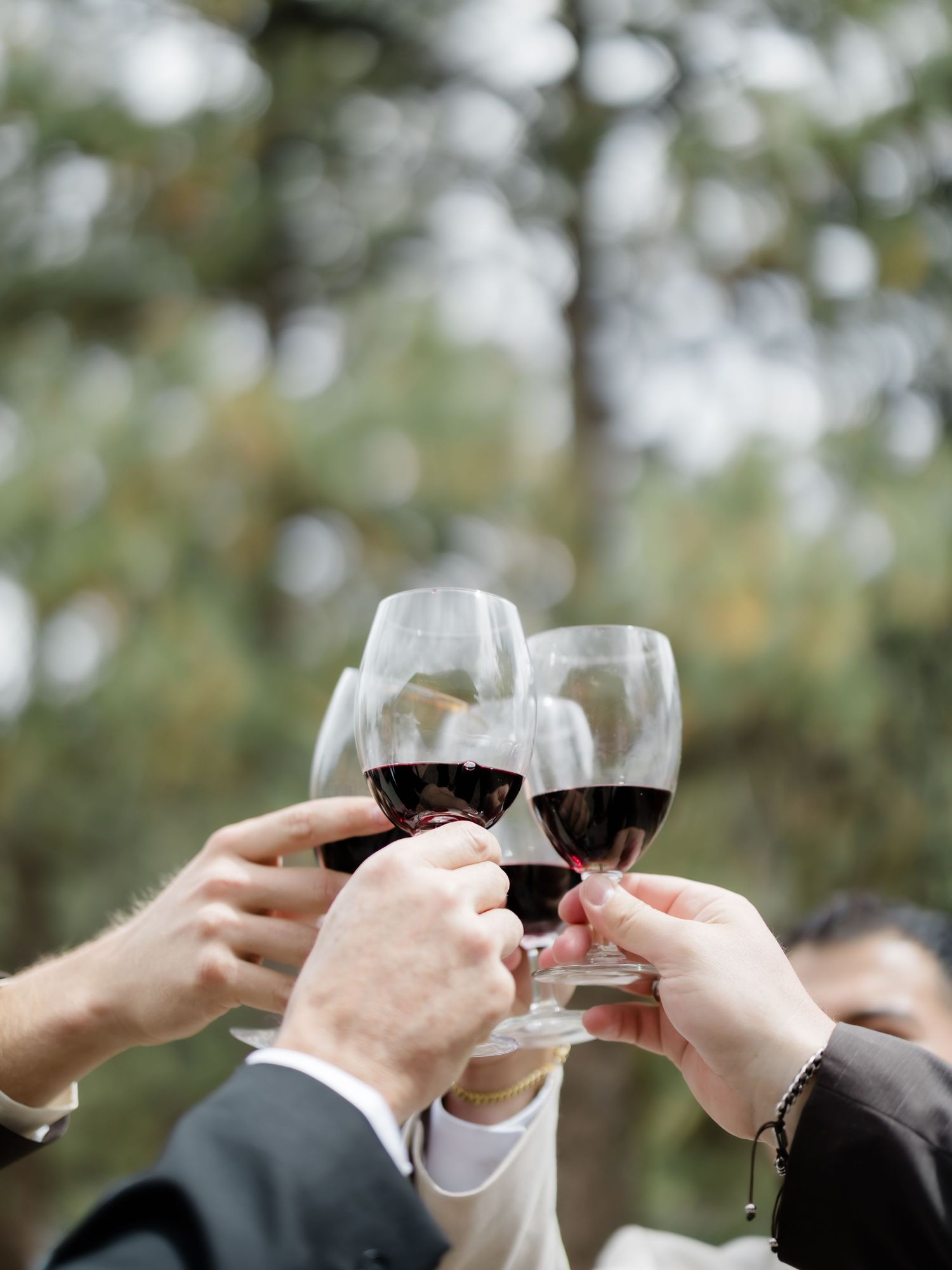 Four people clinking glasses of red wine outdoors in a celebratory toast with blurred trees in background.