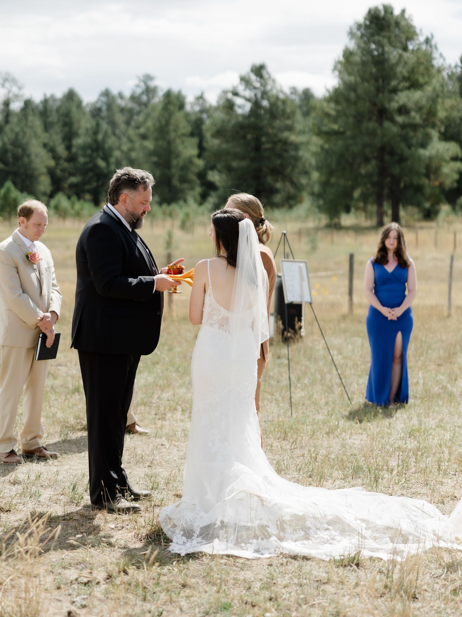 Outdoor wedding ceremony in a meadow with pine trees, bride in lace gown, groom in black suit, officiant reading vows.
