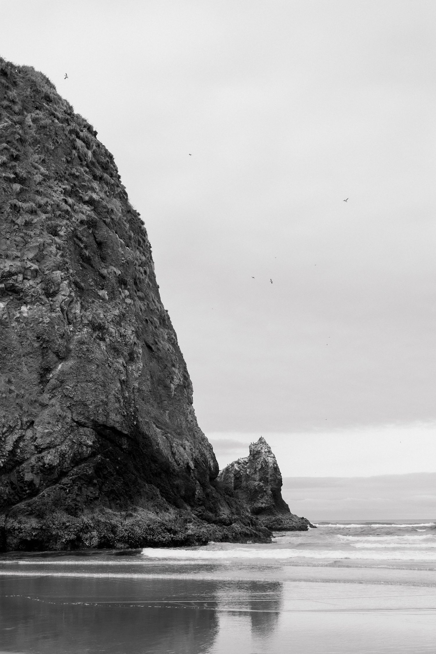 Black and white photo of Haystack Rock at Cannon Beach, Oregon, with birds flying overhead and waves reflecting on wet sand.