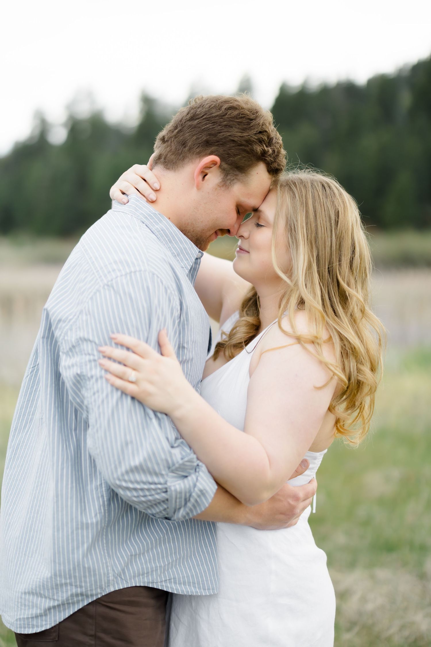 Romantic couple embracing forehead to forehead in a grassy meadow with pine trees in the background.