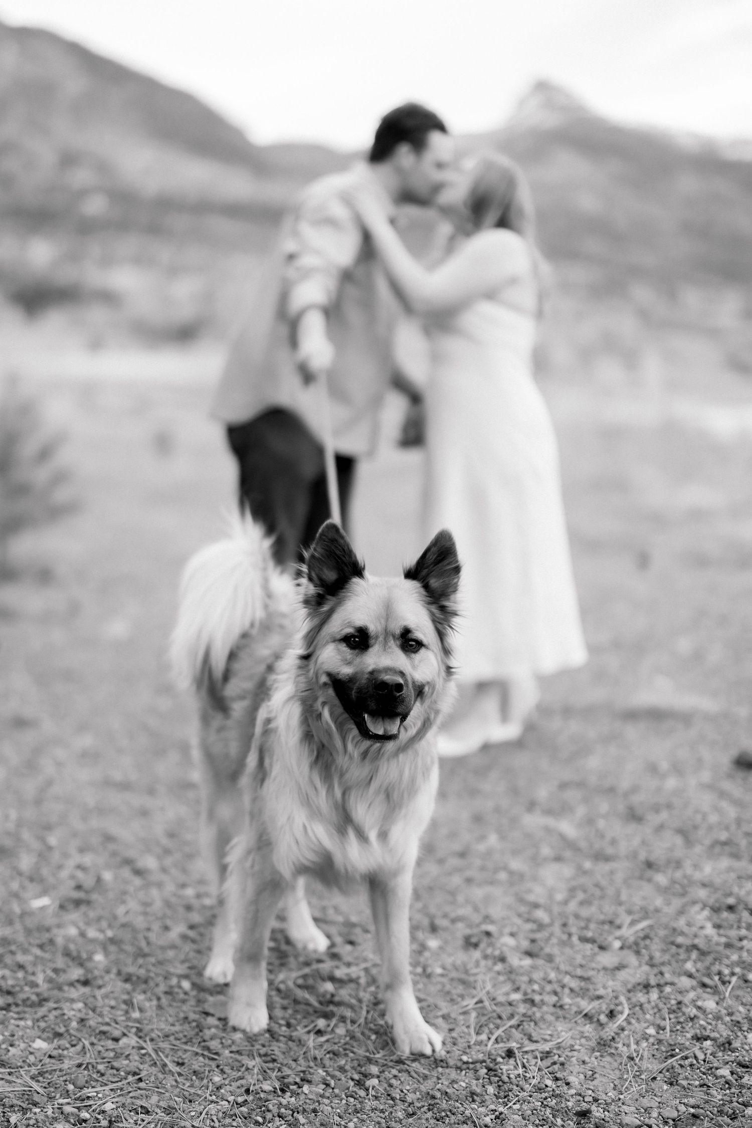 Happy dog poses in foreground as couple kisses in black and white desert engagement photo.