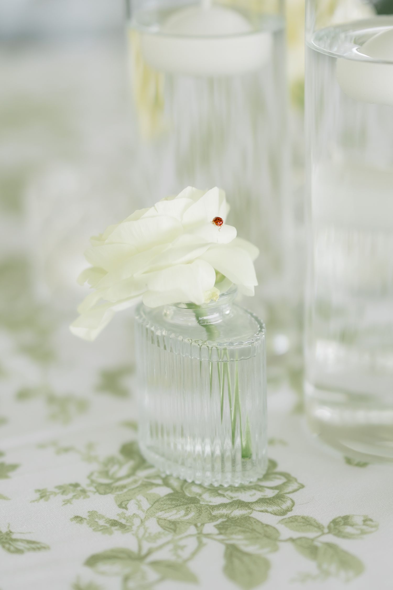 A white rose in a small ribbed glass vase on a floral tablecloth with candles in the background.