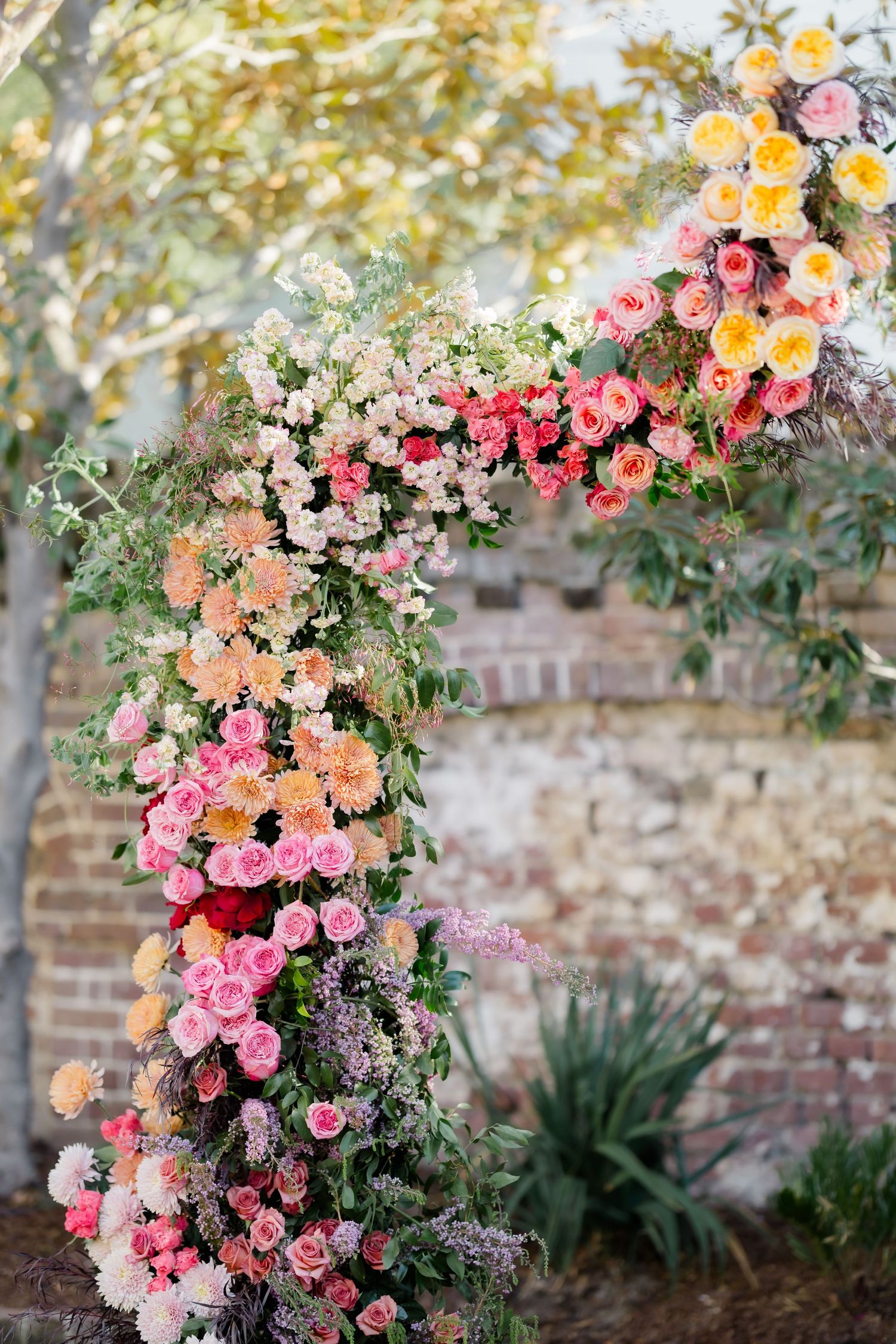 Romantic floral arch with cascading pink and peach roses against a rustic brick wall.