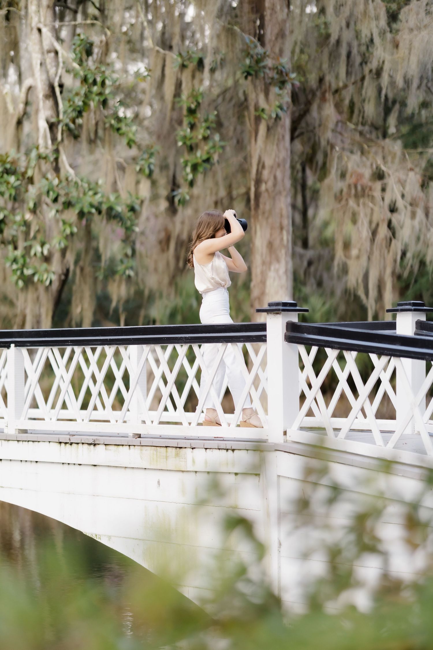 White wooden bridge railing with Spanish moss hanging from trees in the background. Magnolia Plantation in Charleston, South Carolina.