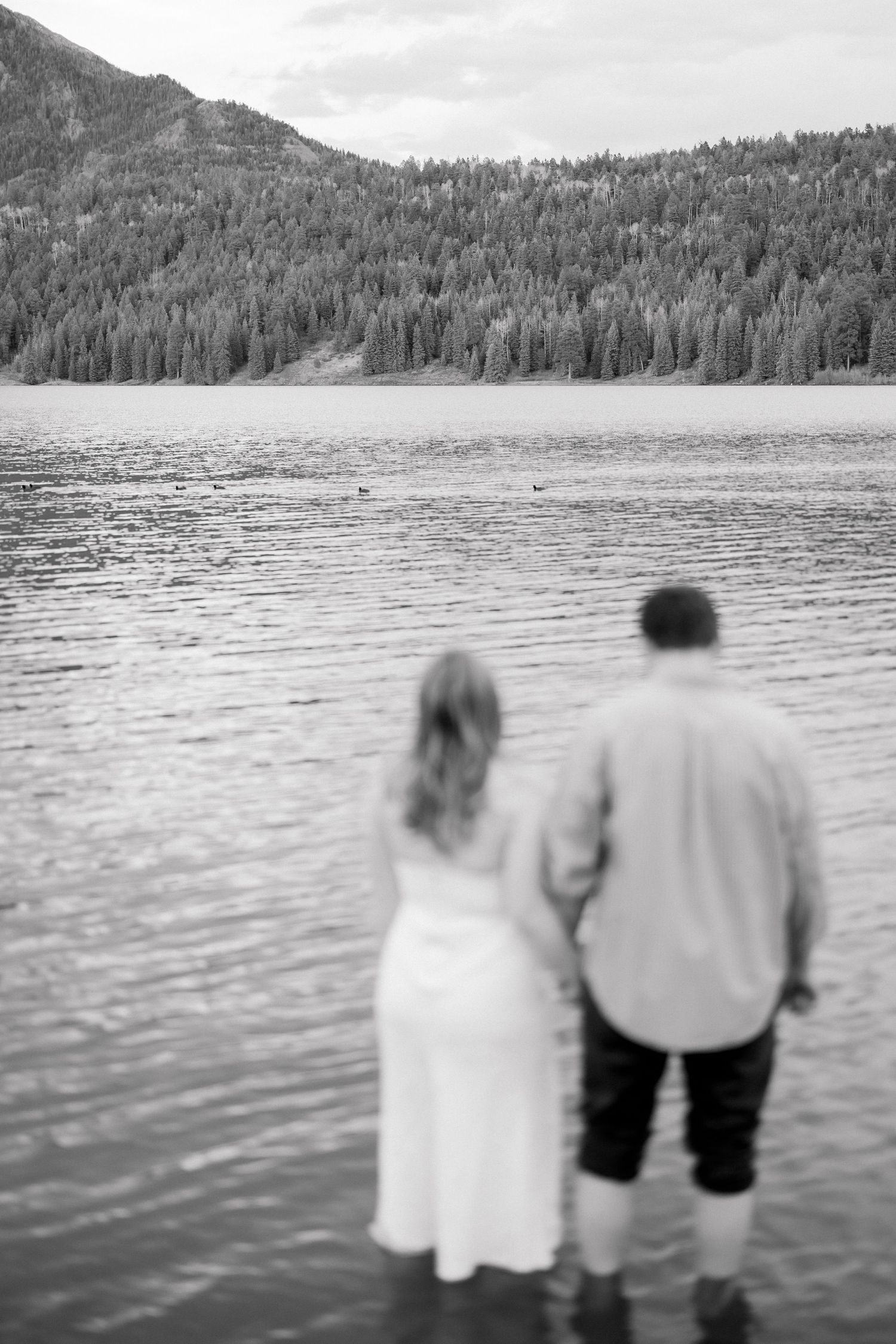 Black and white photo of couple standing together in a mountain lake, gazing at forested hillside.