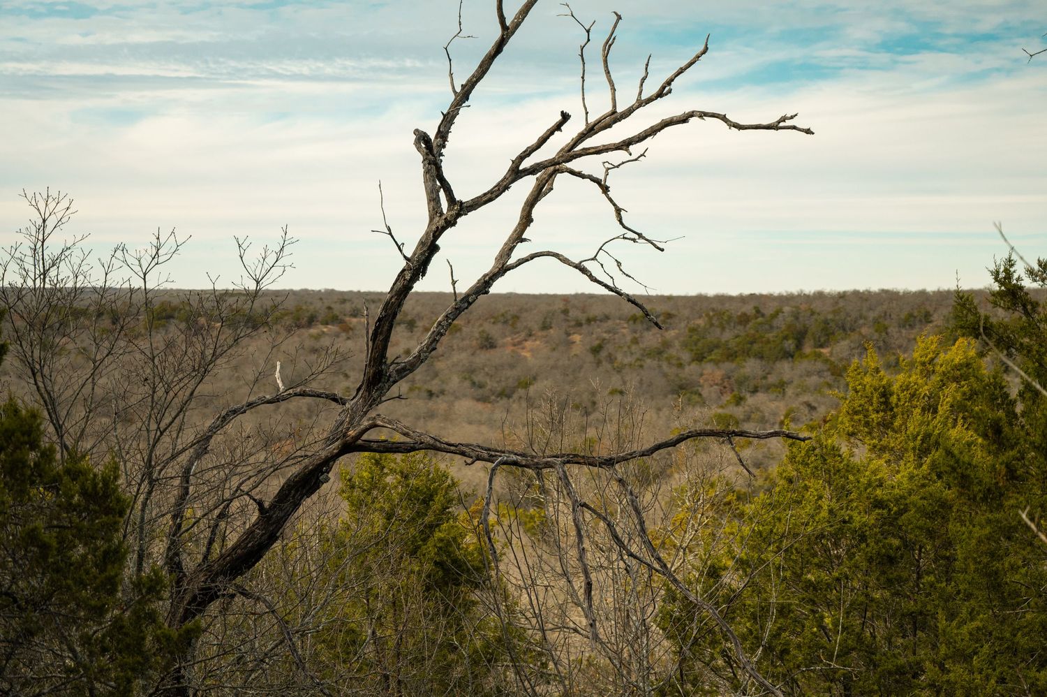 Panoramic view of a desert landscape with scattered vegetation and cloudy skies.