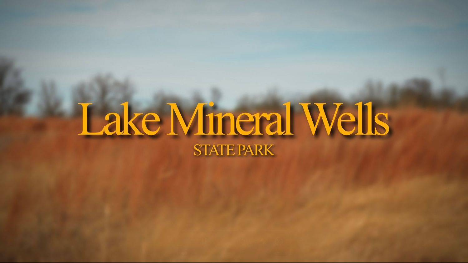 Lake Mineral Wells State Park sign with blurred natural background.