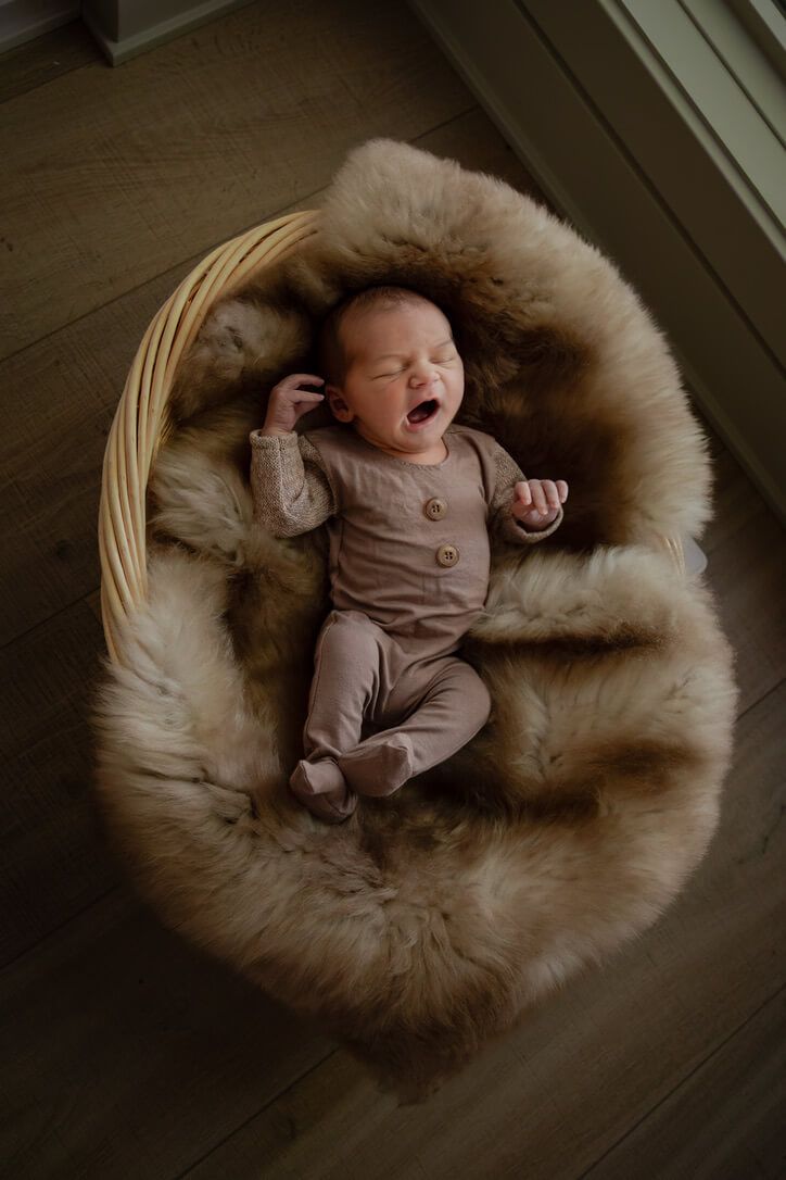 Indoor newborn photography session with baby boy in basket in Omaha, Nebraska