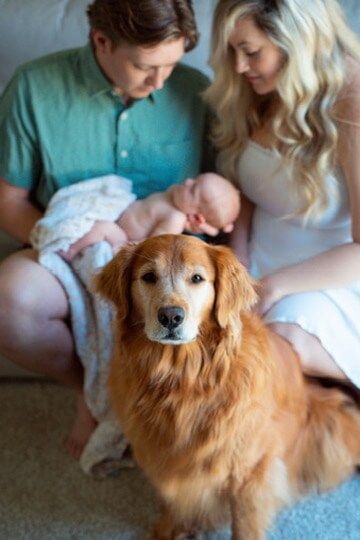 Indoor lifestyle family photography session with parents, newborn and family puppy in Omaha, Nebraska