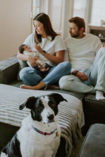 Indoor lifestyle family photography session with parents and newborn in Omaha, Nebraska